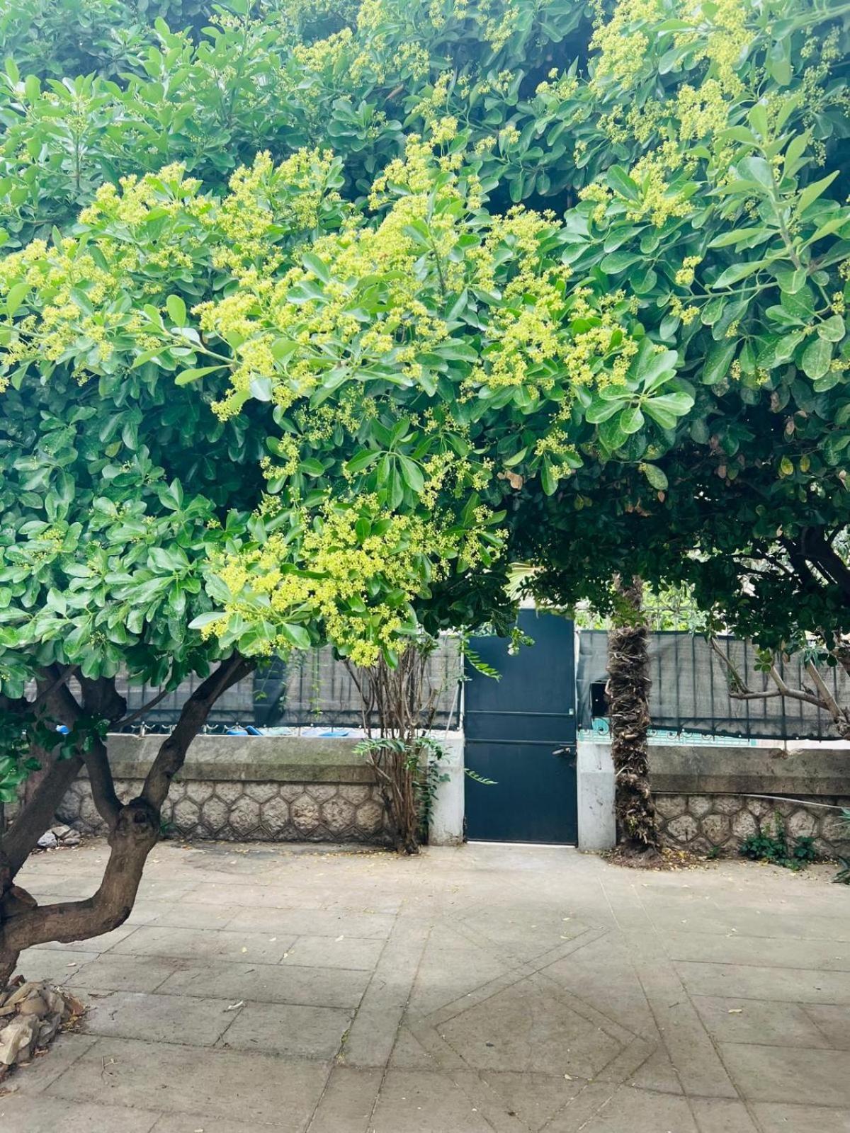 Maison 23 Coursan Luaran gambar